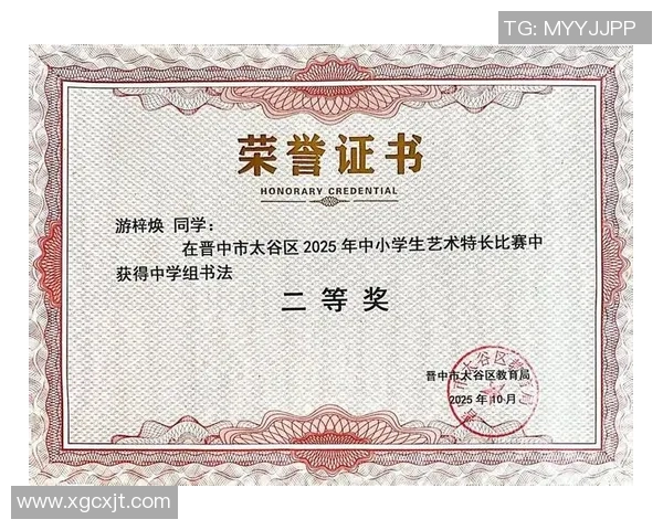 重庆篮球队的崛起之路世锦赛特别报道展现成长与梦想 重庆篮球队的崛起之路世锦赛特别报道展现成长与梦想